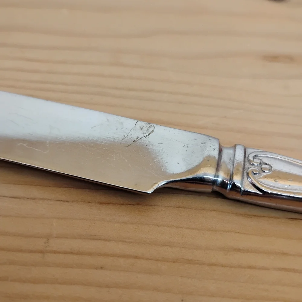 Wallace Brand Ware Korea‎  Coral Shell Pattern Stainless Flatware Fork & Knife